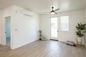 Ceiling fan
